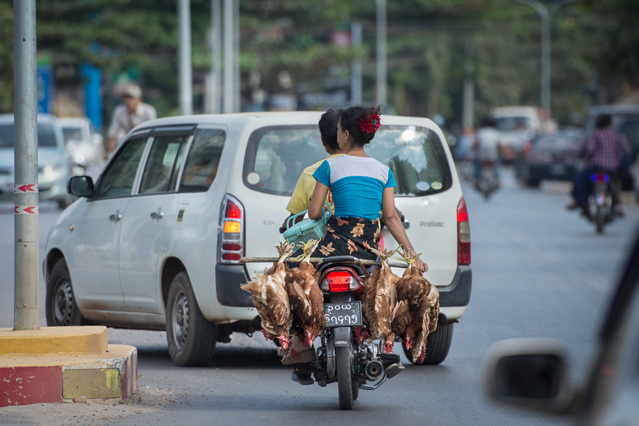  Kurczaki drodze Nikon D7200 AF-S Nikkor 70-200mm f/2.8G 0 Myanmar pojazd transport samochód pojazd silnikowy Droga rodzaj transportu ulica pas ruchu ruch drogowy rower