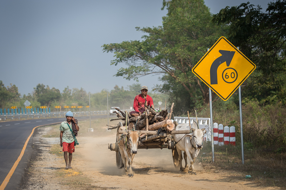  Zaprzęg drodze Nikon D7200 AF-S Nikkor 70-200mm f/2.8G 0 Myanmar Droga rodzaj transportu drzewo transport pojazd obszar wiejski roślina niebo juczne zwierzę krajobraz