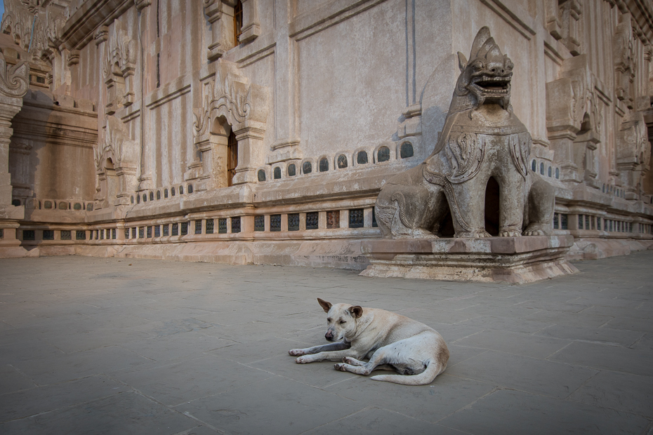  Ananda Pahto Miejsca Nikon D7200 Sigma 10-20mm f/3.5 HSM 0 Myanmar statua rzeźba atrakcja turystyczna punkt orientacyjny pomnik klasyczna rzeźba Historia starożytna świątynia kamień rzeźba ulga