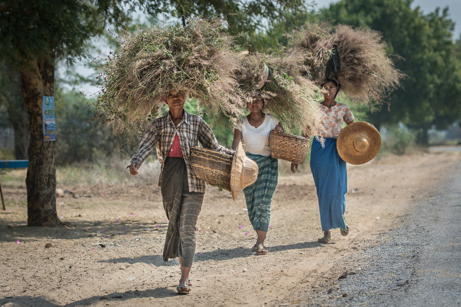  Dużo głowie Ludzie Nikon D7100 AF-S Nikkor 70-200mm f/2.8G 0 Myanmar drzewo roślina rekreacja