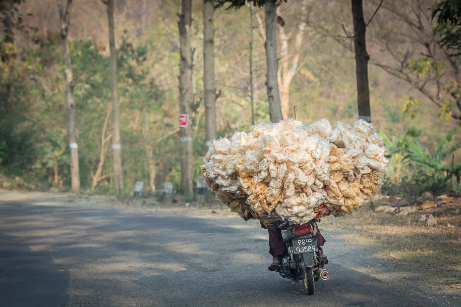  Chipsy drodze Nikon D7100 AF-S Nikkor 70-200mm f/2.8G 0 Myanmar pojazd lądowy roślina drzewo roślina drzewiasta pojazd ranek rower Droga wiosna gałąź