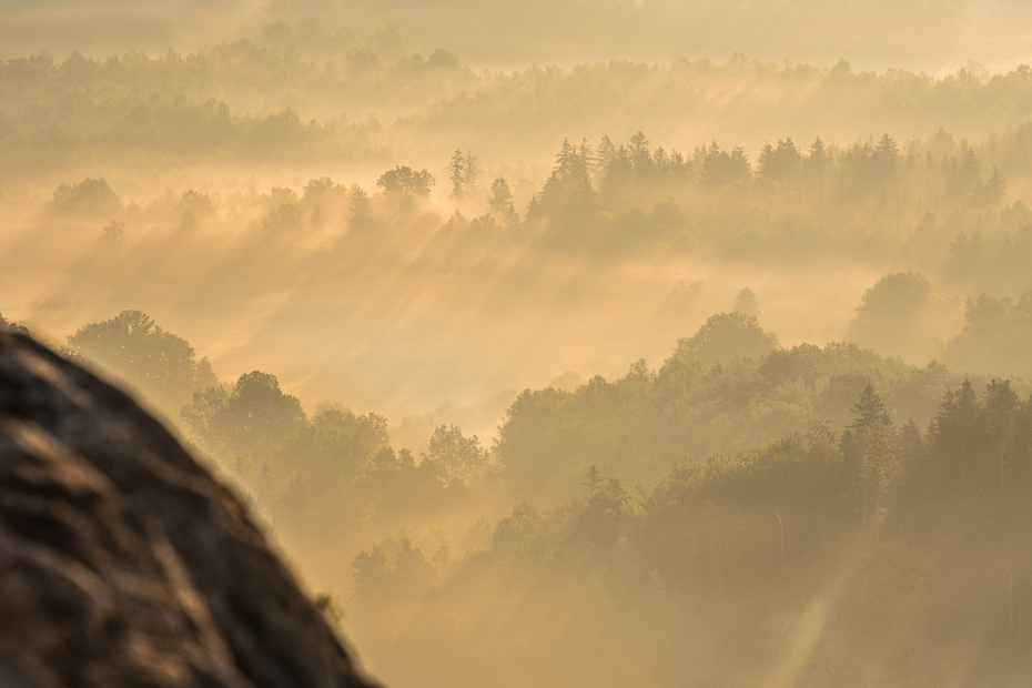  Sokolik 0 Nikon D7200 AF-S Nikkor 70-200mm f/2.8G niebo atmosfera zamglenie ranek Chmura Góra mgła świt drzewo wzgórze