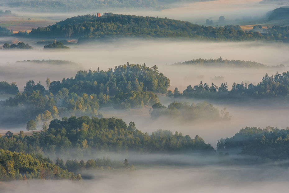  Sokolik 0 Nikon D7200 AF-S Nikkor 70-200mm f/2.8G zamglenie Natura mgła świt niebo atmosfera ranek drzewo średniogórze