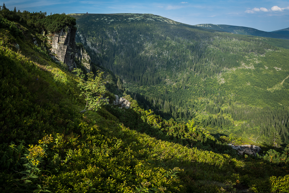  Karkonosze Nikon D7200 AF-S Zoom-Nikkor 17-55mm f/2.8G IF-ED wegetacja Natura pustynia górzyste formy terenu rezerwat przyrody średniogórze Góra zamontuj scenerię liść niebo