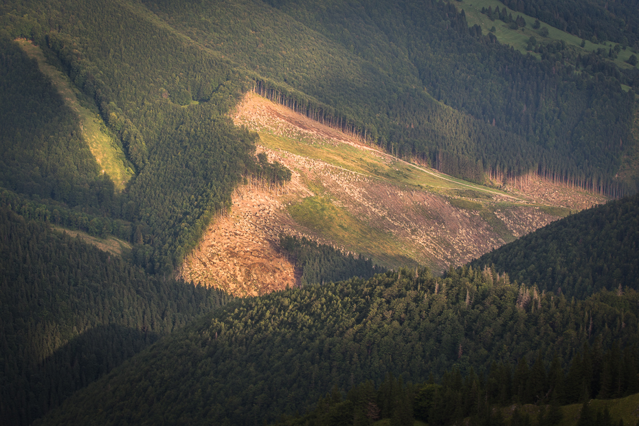  Mała Fatra 0 Mala Nikon D7200 Nikkor AF-S 70-200 f/4.0G pustynia Fotografia lotnicza górzyste formy terenu średniogórze wzgórze Góra grzbiet drzewo niebo las