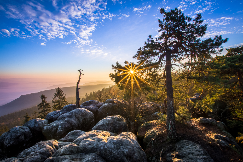  Szczeliniec Wielki 0 Nikon D7200 Sigma 10-20mm f/3.5 HSM Natura niebo pustynia wegetacja drzewo roślina skała Góra ranek krajobraz