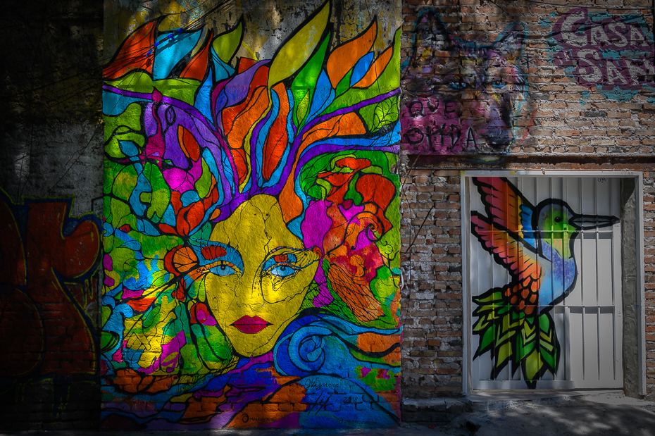  Mural Buenos Aires Nikon Nikkor 24-70mm f/4 0 Patagonia graffiti Sztuka uliczna sztuka Ściana Dzieła wizualne Sztuka współczesna fresk obraz Sztuka psychedeliczna architektura