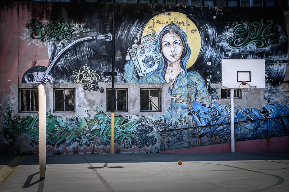  Mural Buenos Aires Nikon Nikkor 24-70mm f/4 0 Patagonia Sztuka uliczna fresk sztuka Ściana architektura graffiti obszar miejski drzewo obraz fasada