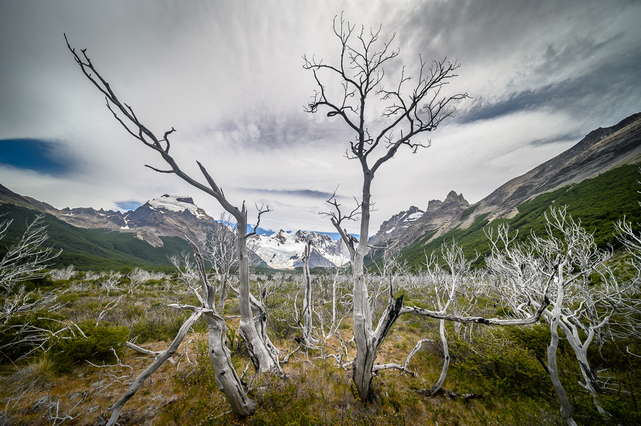  Cerro Torre Argentyna Nikon Laowa D-Dreamer 12mm f/2.8 0 Patagonia Natura drzewo Naturalny krajobraz górzyste formy terenu niebo Góra średniogórze pustynia wegetacja Środowisko naturalne