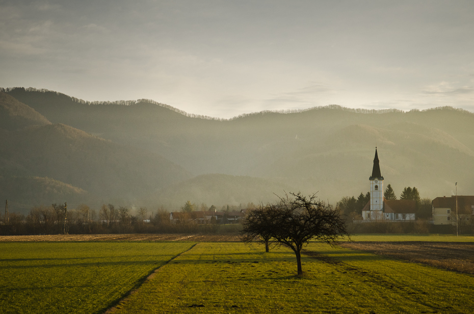  Słowenia Maraton przez Europę Nikon D7000 AF-S Zoom-Nikkor 17-55mm f/2.8G IF-ED Budapeszt Bamako 0 niebo Natura średniogórze drzewo pole zamglenie roślina drzewiasta atmosfera górzyste formy terenu ranek