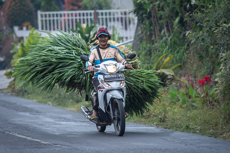  Ulica 2019 Indonezja Nikon D7200 AF-S Nikkor 70-200mm f/2.8G