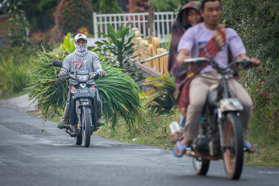  Ulica 2019 Indonezja Nikon D7200 AF-S Nikkor 70-200mm f/2.8G