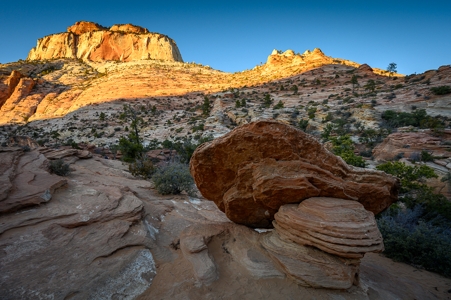  Zion Nikon Nikkor 14-30mm f/4 2020 USA