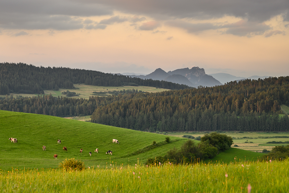  Pieniny 2020 Nikon Nikkor 24-70mm f/4