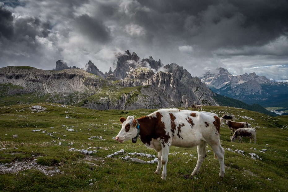  Tre Cime Lavaredo 2021 Dolomity Nikon Nikkor 24-70mm f/4