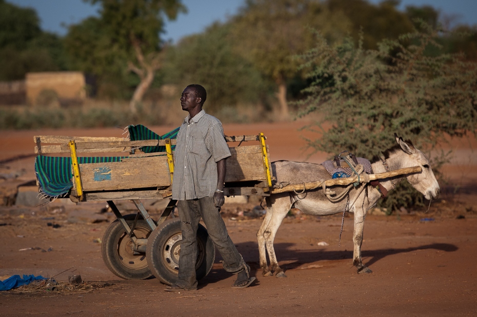  Dwukółka Mali Nikon D300 AF-S Nikkor 70-200mm f/2.8G Budapeszt Bamako 0 rodzaj transportu piasek pojazd wózek obszar wiejski niebo ecoregion krajobraz drzewo osioł