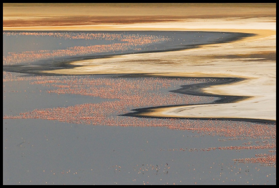  Jezioro Nakuru Przyroda jezioro nakuru Nikon D200 Sigma APO 500mm f/4.5 DG/HSM Kenia 0 niebo Wybrzeże horyzont woda mudflat piasek ecoregion atmosfera ranek spokojna