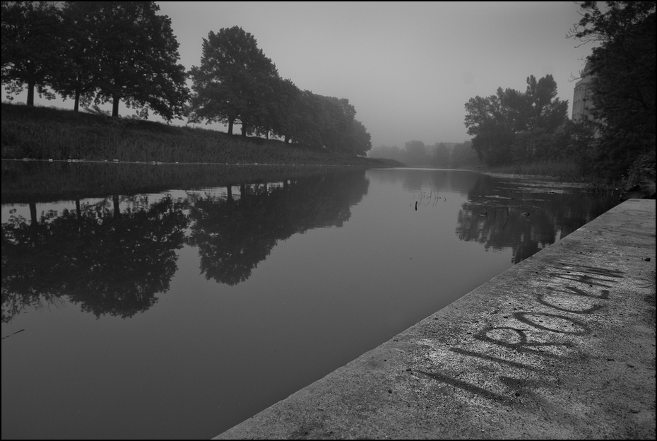  Okolice mostów warszawskich Powódź 0 Wrocław wrocław Nikon D200 AF-S Zoom-Nikkor 17-55mm f/2.8G IF-ED odbicie arteria wodna woda Natura czarny i biały rzeka drzewo niebo fotografia monochromatyczna Bank