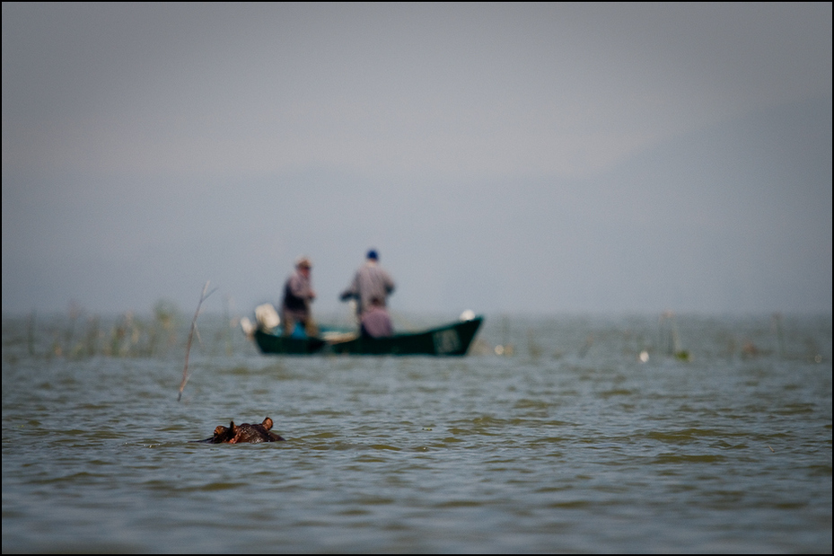  Rybacy jeziorze Naivasha Klimaty Nikon D300 Sigma APO 500mm f/4.5 DG/HSM Kenia 0 woda morze zbiornik wodny transport wodny niebo horyzont Chmura Wybrzeże rzeka ocean