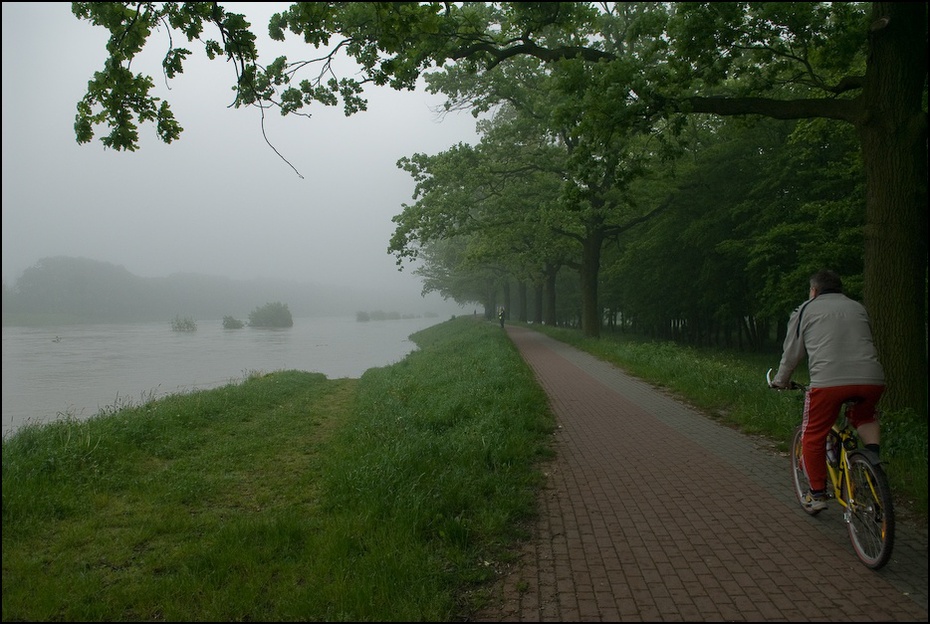  wałach Powódź 0 Wrocław Nikon D200 AF-S Zoom-Nikkor 17-55mm f/2.8G IF-ED Zielony Natura ścieżka drzewo woda ranek arteria wodna Droga zamglenie Jazda rowerem