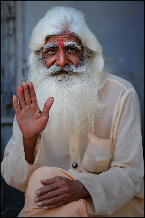  Brahmin Portret Nikon D300 Zoom-Nikkor 80-200mm f/2.8D Indie 0 zarost emeryt starszy futro