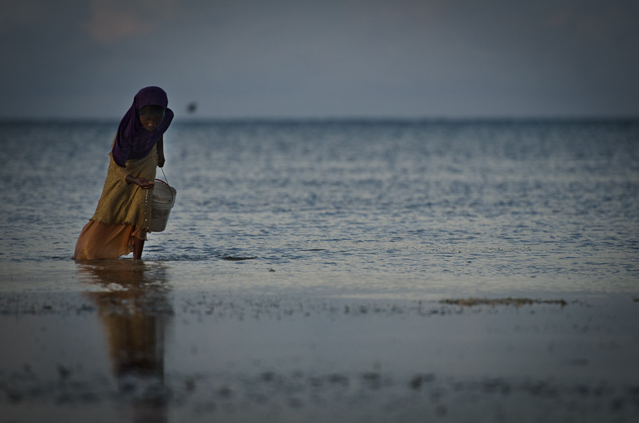  Zbieranie muszli Klimaty Nikon D7000 AF-S Nikkor 70-200mm f/2.8G Zanzibar 0 morze zbiornik wodny woda ocean horyzont fala Wybrzeże niebo ranek plaża