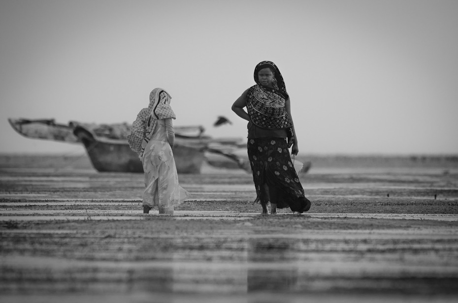  Zbieraczki małży Ludzie Nikon D7000 AF-S Nikkor 70-200mm f/2.8G Zanzibar 0 woda czarny fotografia czarny i biały morze fotografia monochromatyczna monochromia piasek niebo