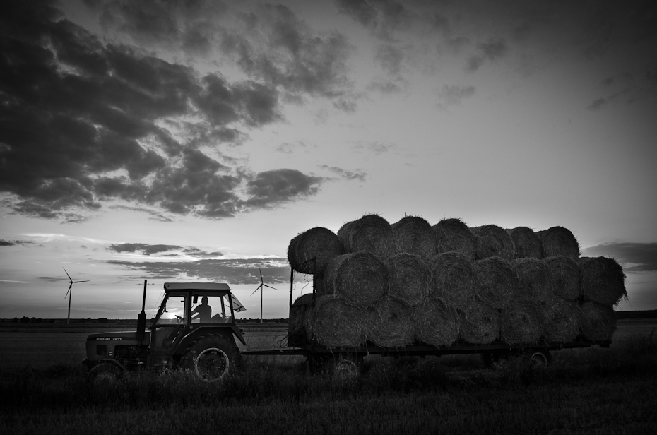  Żniwa Krajobraz Nikon D7000 AF-S Zoom-Nikkor 17-55mm f/2.8G IF-ED niebo czarny i biały Chmura fotografia monochromatyczna fotografia atmosfera atmosfera ziemi monochromia ranek zjawisko