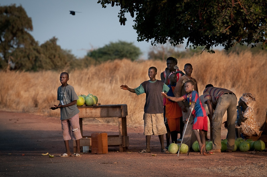  Sprzedawcy arbuzów Senegal Nikon D300 AF-S Nikkor 70-200mm f/2.8G Budapeszt Bamako 0 ludzie Natura Zielony ssak drzewo kręgowiec roślina zabawa fotografia ranek