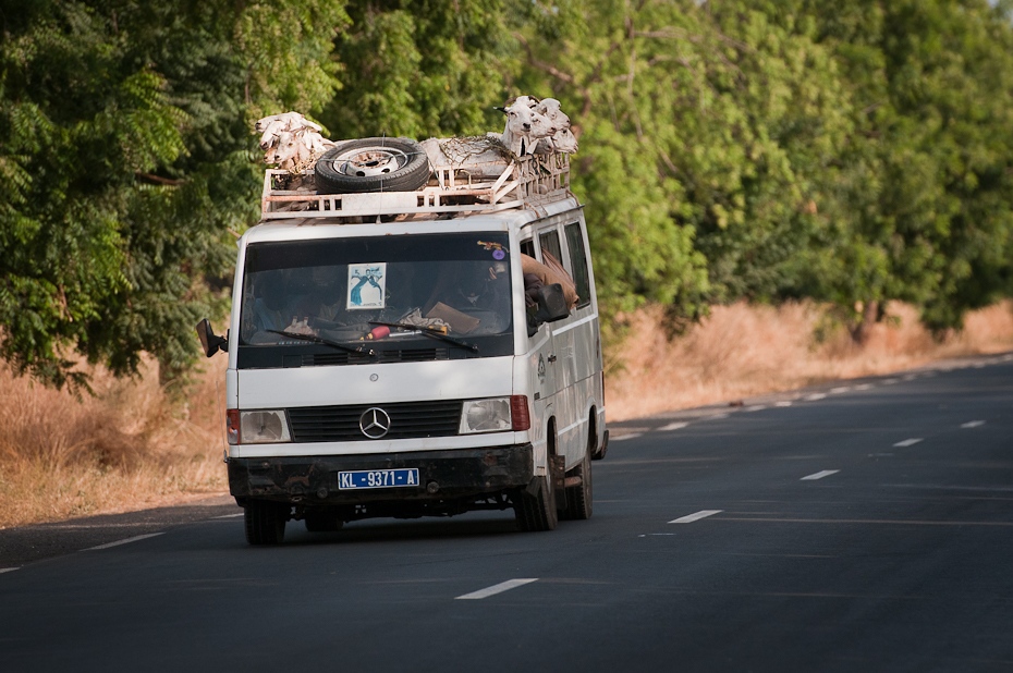  Owce dachu samochodu Senegal Nikon D300 AF-S Nikkor 70-200mm f/2.8G Budapeszt Bamako 0 pojazd silnikowy Droga transport samochód pojazd rodzaj transportu awangarda pojazd użytkowy na zewnątrz samochodu asfalt