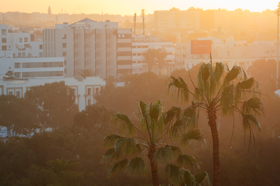  Agadir rano Nikon D7000 AF-S Nikkor 70-200mm f/2.8G Maroko 0 mgła niebo ranek światło słoneczne drzewo kurz krajobraz wieczór wschód słońca zamglenie