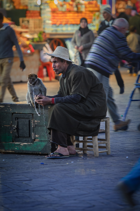  Małpa treser Marrakesz Nikon D7000 AF-S Nikkor 70-200mm f/2.8G Maroko 0 człowiek posiedzenie infrastruktura Droga ulica miejsce publiczne męski migawka woda samochód