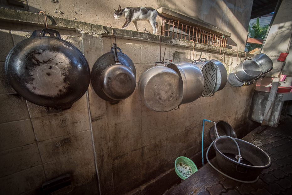  Szkolne gary Edukacja nikon d750 Sigma 15-30mm f/3.5-4.5 Aspherical Tajlandia 0 woda