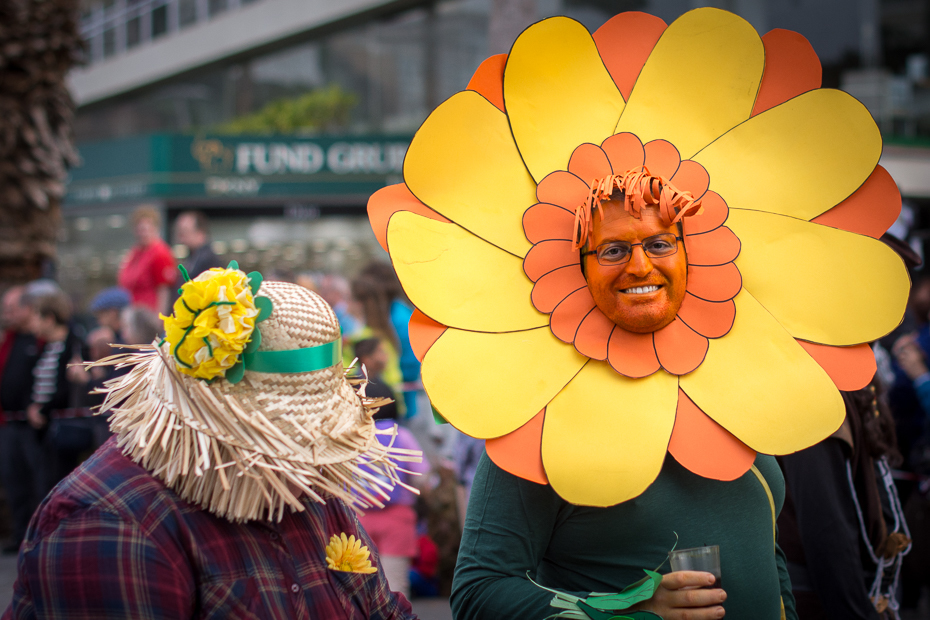  Kwiat Karnawał Nikon D7200 AF-S Nikkor 50mm f/1.4G Teneryfa 0 żółty kwiat karnawał roślina wiosna zabawa festiwal florystyka