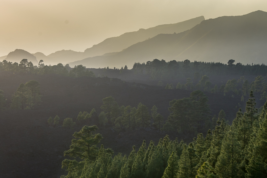  Zachód słońca Krajobraz Nikon D7200 AF-S Nikkor 70-200mm f/2.8G Teneryfa 0 Natura wegetacja drzewo pustynia niebo atmosfera zamglenie ranek średniogórze stacja na wzgorzu