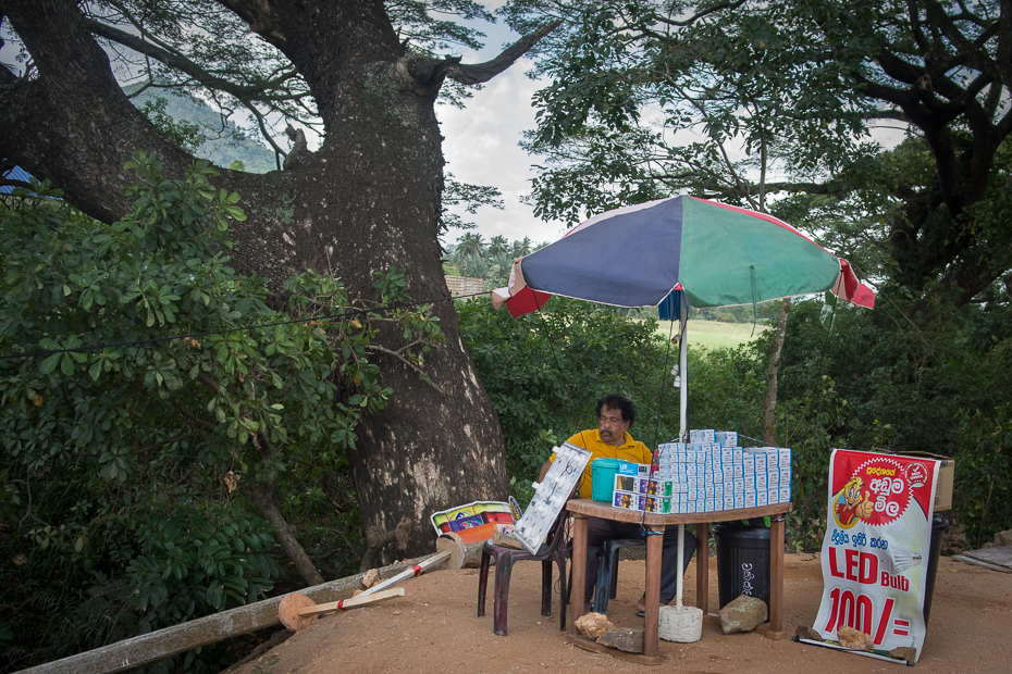  Sprzedawca żarówek Street Nikon D7200 AF-S Zoom-Nikkor 17-55mm f/2.8G IF-ED Sri Lanka 0 Natura drzewo roślina roślina drzewiasta woda parasol wolny czas turystyka rekreacja wakacje