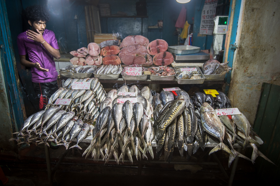  Sklep rybny Street Nikon D7200 Sigma 15-30mm f/3.5-4.5 Aspherical Sri Lanka 0 sprzedawca uliczne jedzenie rynek stoisko bazar