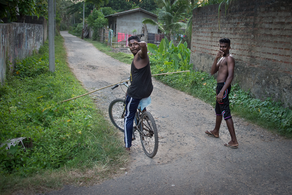  ryby Street Nikon D7200 AF-S Zoom-Nikkor 17-55mm f/2.8G IF-ED Sri Lanka 0 pojazd lądowy sport rowerowy rower Jazda rowerem Natura pojazd drzewo ścieżka Droga rower drogowy