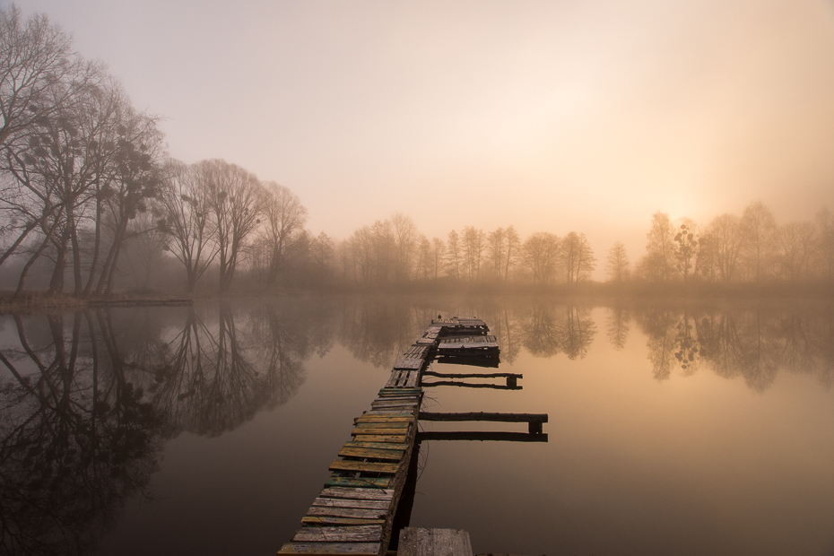  Mgła Krajobraz Nikon D7200 Sigma 10-20mm f/3.5 HSM odbicie woda Natura arteria wodna mgła zamglenie ranek świt niebo drzewo