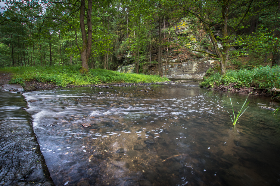  Krajobraz 0 Czeska Szwajcaria Nikon D7200 Sigma 10-20mm f/3.5 HSM woda strumień Natura zbiornik wodny rzeka zatoczka zasoby wodne rezerwat przyrody drzewo