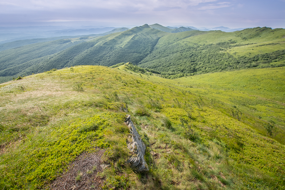  Bieszczady 0 Lipiec Nikon D7100 Sigma 10-20mm f/3.5 HSM Biesczaty średniogórze grzbiet chaparral łąka górzyste formy terenu wzgórze wegetacja pustynia spadł Góra