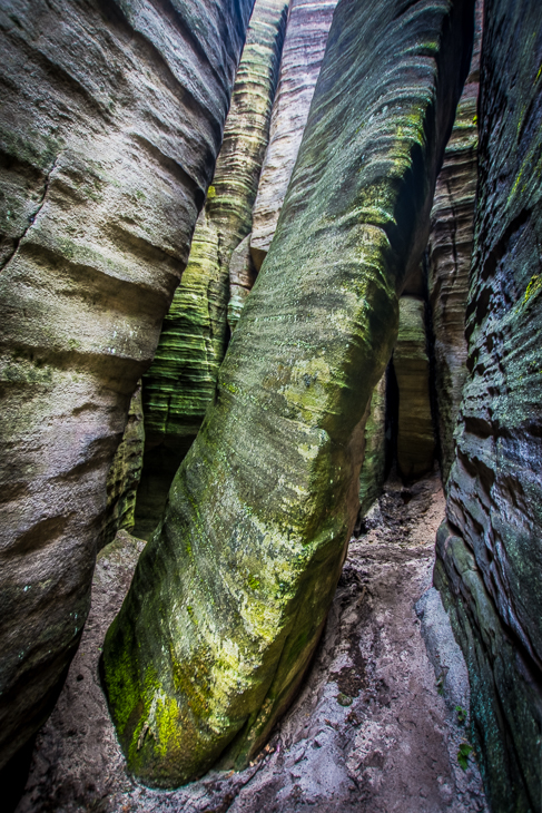  Skały 0 Adrszpaskie skały Nikon D7200 Sigma 10-20mm f/3.5 HSM Zielony skała wegetacja liść lesisty teren drzewo tworzenie las geologia dżungla