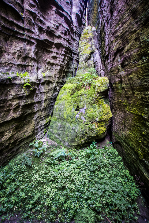  Skały 0 Adrszpaskie skały Nikon D7200 Sigma 10-20mm f/3.5 HSM Natura skała Zielony wegetacja liść mech tworzenie podłoże skalne geologia odkrywka