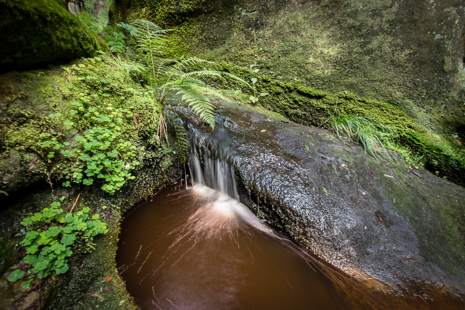  Adrspach 0 Adrszpaskie skały Nikon D7200 Sigma 10-20mm f/3.5 HSM woda Natura zbiornik wodny Zielony strumień wegetacja wodospad rezerwat przyrody rzeka funkcja wody