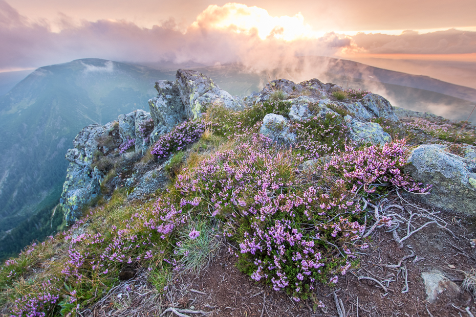  Karkonosze Śnieżka Nikon D7200 Sigma 10-20mm f/3.5 HSM górzyste formy terenu wegetacja Góra niebo pustynia kwiat ranek dziki kwiat drzewo roślina