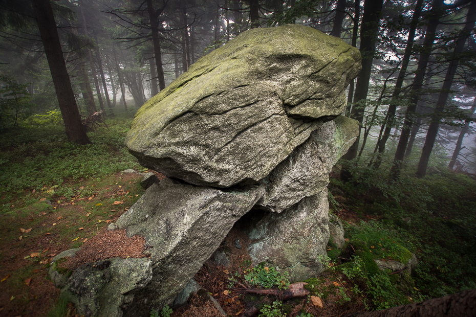  Góry Sowie Krajobraz Nikon D7200 Sigma 10-20mm f/3.5 HSM skała lesisty teren las drzewo roślina drzewiasta otoczak liść podłoże skalne stary las wzrostu odkrywka