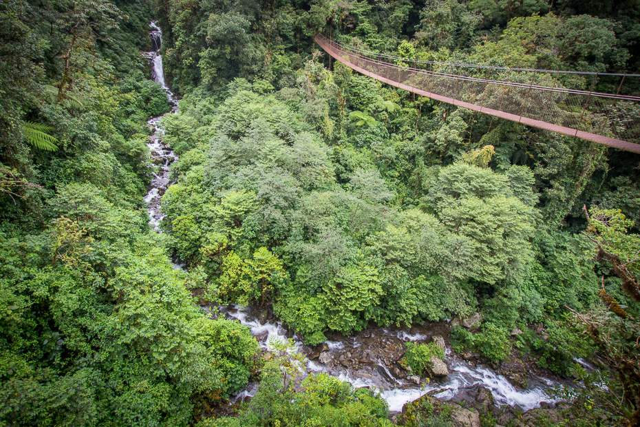  Most wiszący Krajobraz Nikon D7200 Sigma 10-20mm f/3.5 HSM 0 Panama wegetacja Natura rezerwat przyrody woda ekosystem Las deszczowy las pustynia drzewo liść