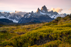 Fitz Roy