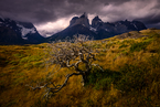 Torres del Paine