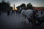 Plac Jemaa El Fna